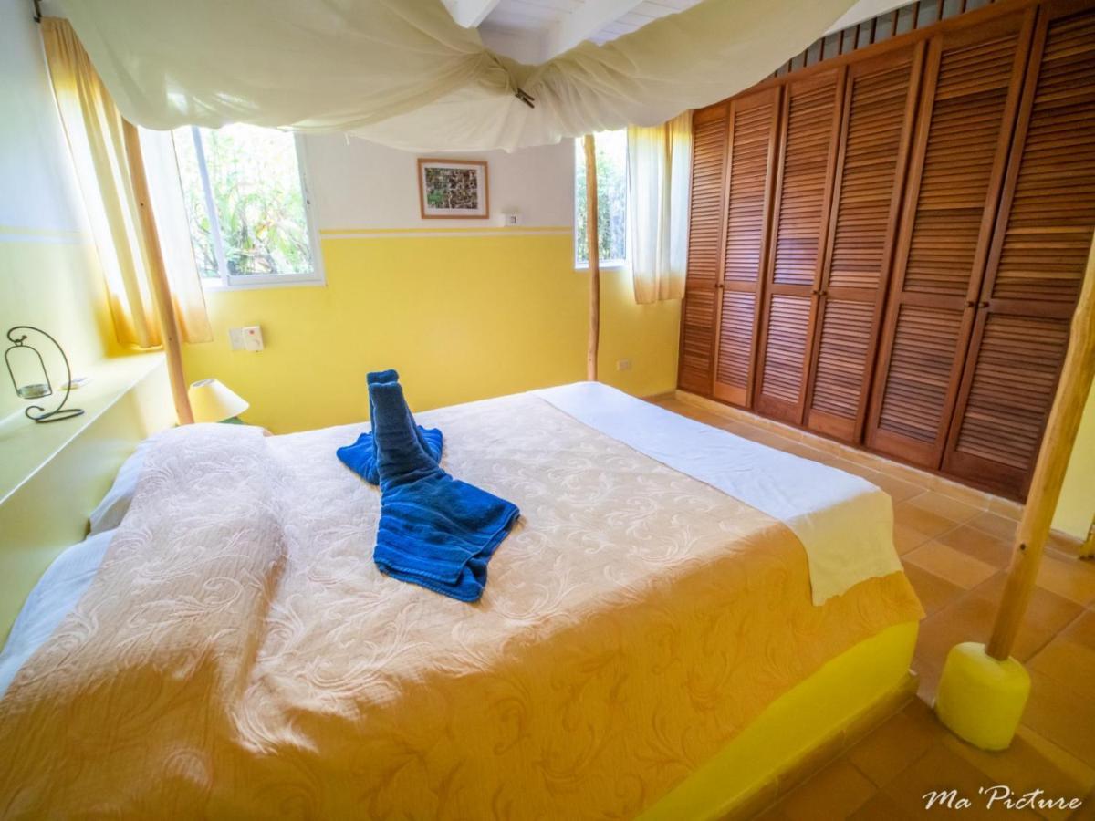 Residence Villas Les Hibiscus Las Terrenas Exterior photo